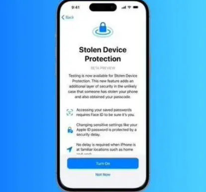 庆安苹果授权维修店分享被盗设备保护功能开启方法 
