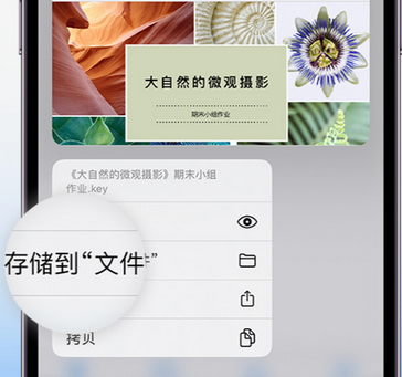 庆安apple维修中心分享iPhone文件应用中存储和找到下载文件