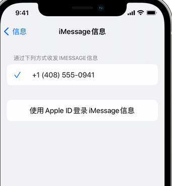 庆安apple维修iPhone上无法正常发送iMessage信息 