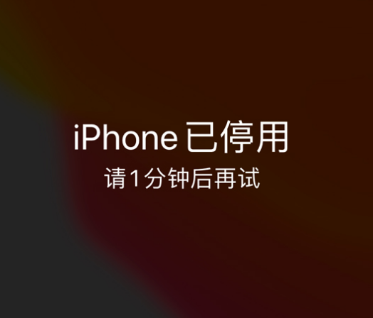 庆安苹果手机维修分享:iPhone 显示“不可用”或“已停用”怎么办？还能保留数据吗？ 