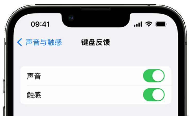 庆安苹果手机维修分享iPhone 14触感键盘使用方法 