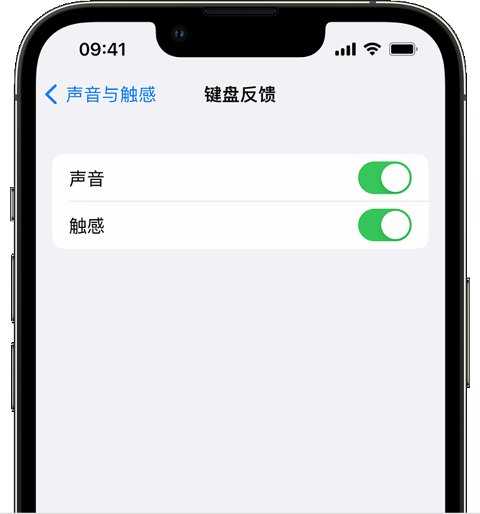 庆安苹果14维修店分享如何在 iPhone 14 机型中使用触感键盘 