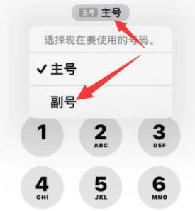 庆安苹果14维修店分享iPhone 14 Pro Max使用副卡打电话的方法 