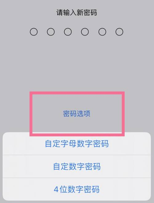 庆安苹果14维修分享iPhone 14plus设置密码的方法 