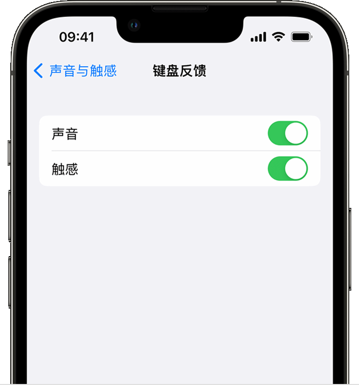 庆安苹果14维修分享iPhone 14 系列机型如何开启键盘声音或触感反馈 