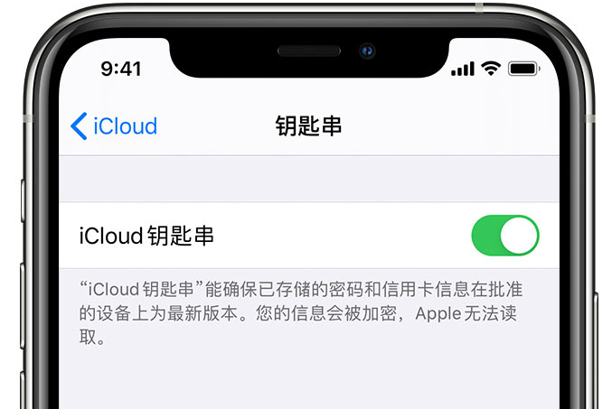 庆安苹果手机维修分享在 iPhone 上开启 iCloud 钥匙串之后会储存哪些信息 