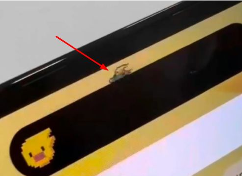 庆安苹果14维修分享iPhone 14 Pro Max灵动岛怎么养宠物 