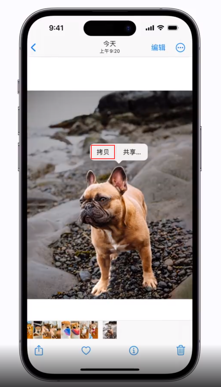 庆安苹果手机维修分享 iOS 16 自带一键抠图功能 
