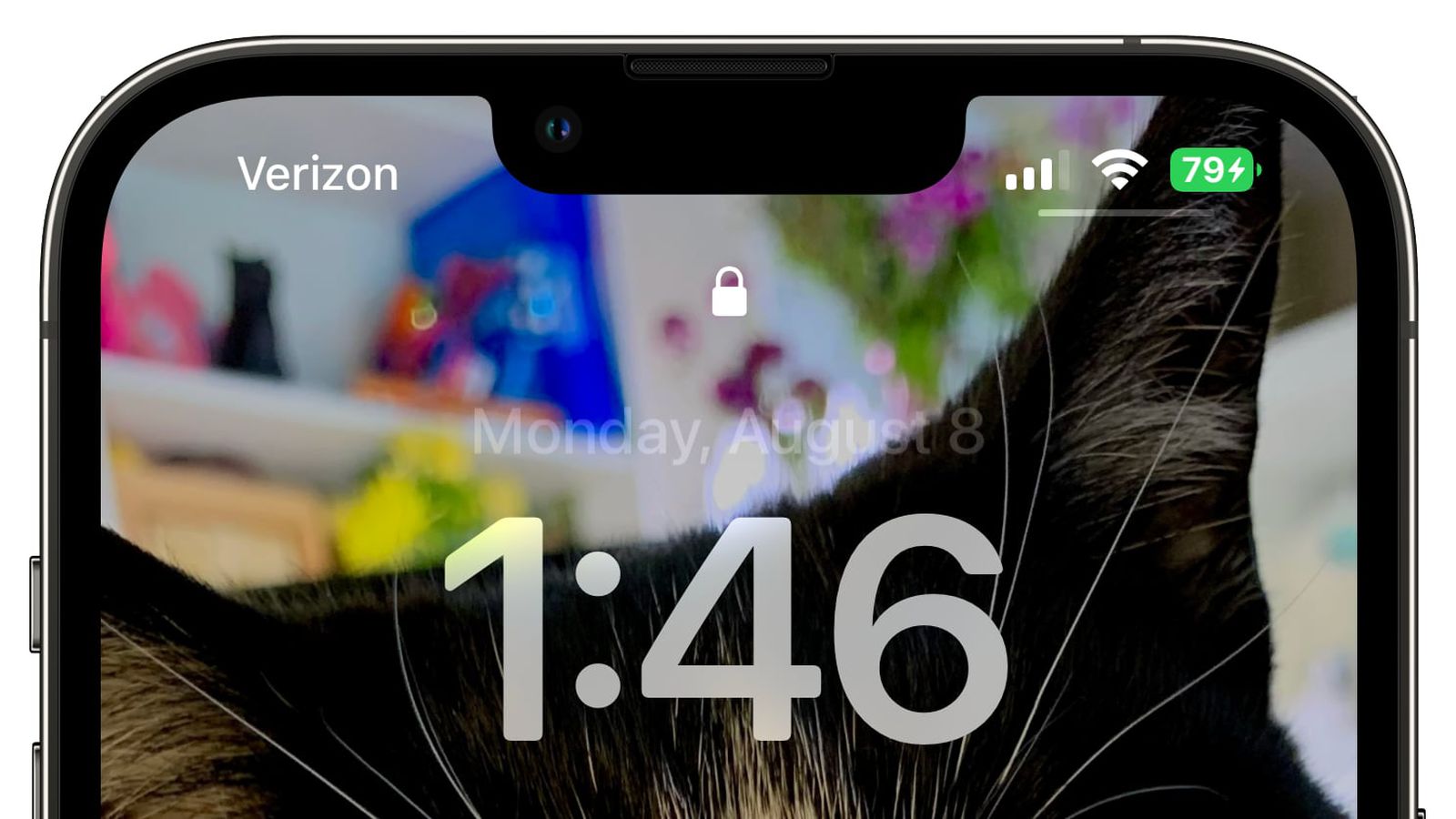 庆安苹果手机维修分享iOS 16 beta 5 支持状态栏显示电池百分比，如何开启？支持哪些机型 
