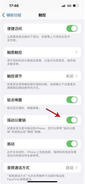 庆安苹果手机维修分享iPhone手机如何设置摇一摇删除文字 