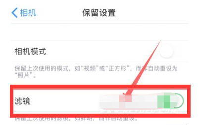 庆安苹果13维修分享iPhone13拍照有绿点是怎么回事 