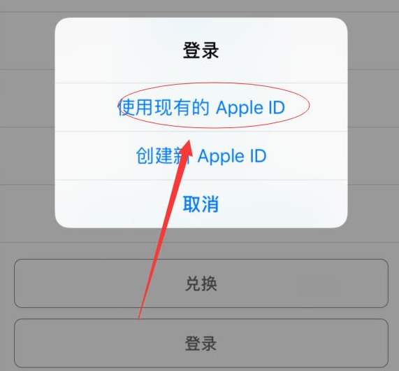 庆安苹果手机维修分享两台iPhone设备可以同时登录一个Apple ID吗 