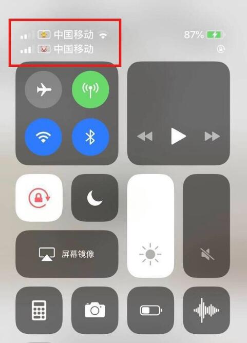 庆安苹果手机维修分享为 iPhone 12 双卡设置标签 