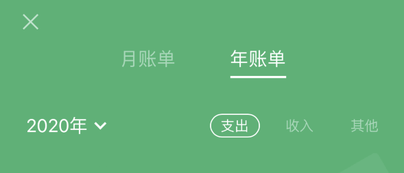 庆安苹果手机维修分享如何在 iPhone 上查看支付宝和微信年支出账单 