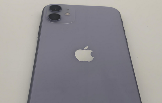 庆安苹果11系统维修分享iPhone11手机系统崩溃无法开机如何解决